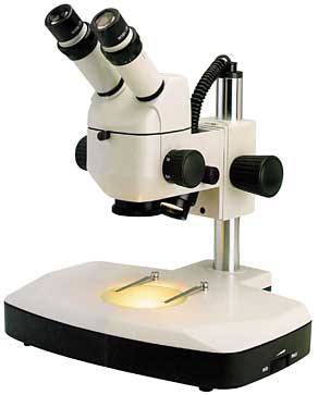 motic k-500l stereo microscope