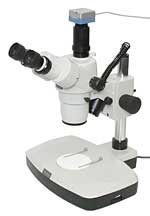 Forensic Stereo Microscope