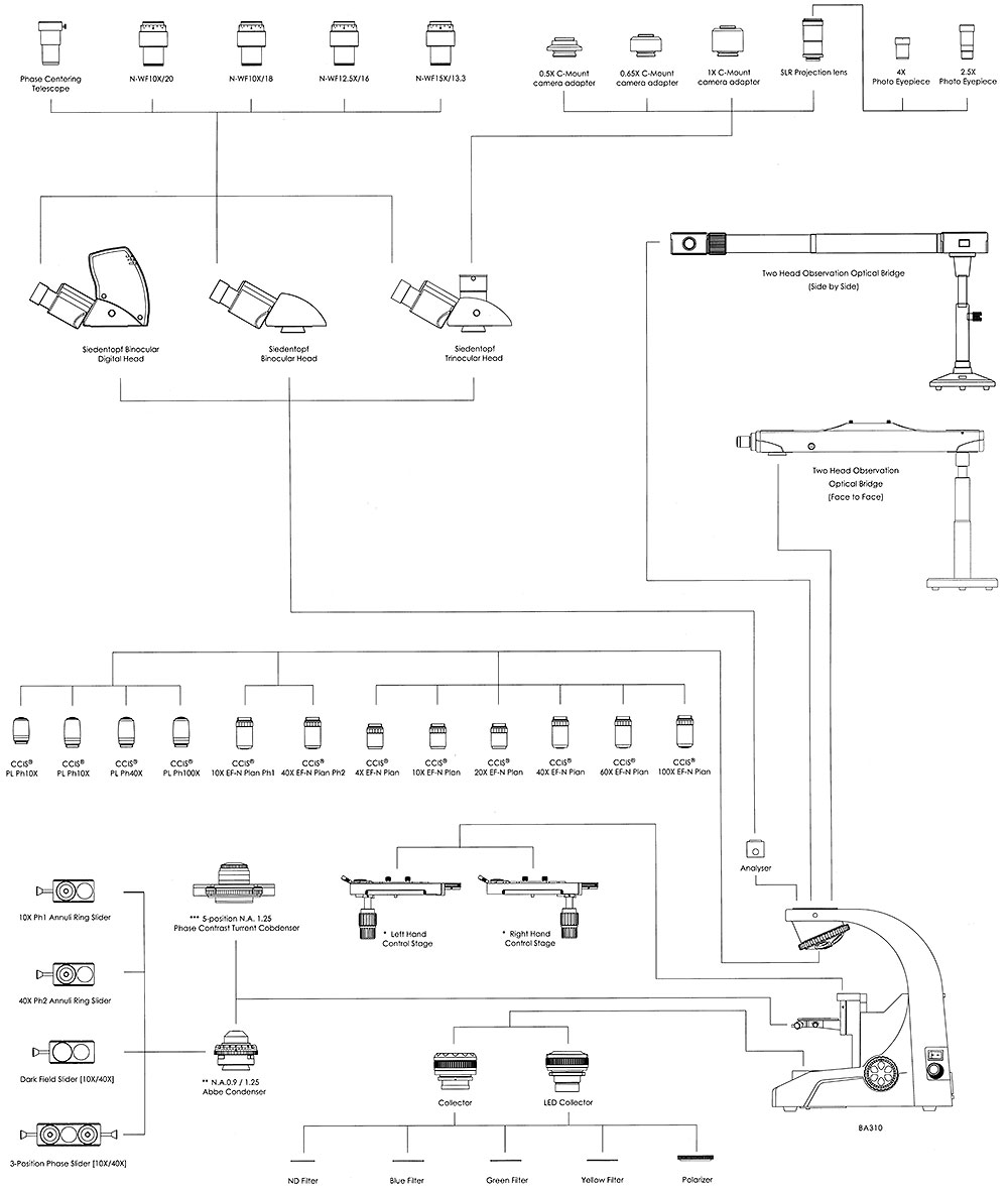 ba310 microscope system diagram