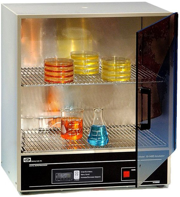 Vacuum Oven