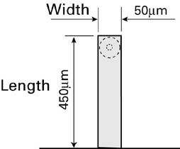 afm cantilever atomic force microscopy