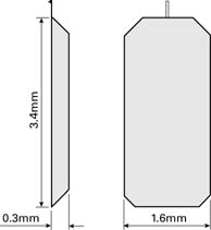 afm holder chip