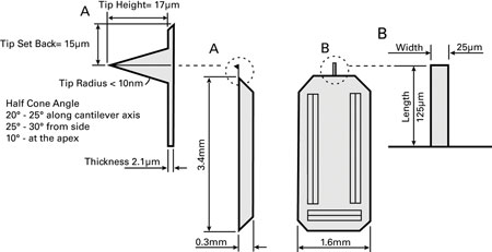 tap150-g afm probe drawing