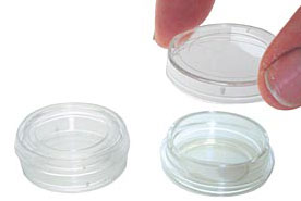 clear wall glass-bottom petri culture dish