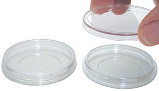 glass-bottom petri dish